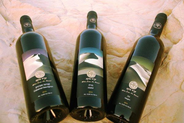 Negev Desert RN Winery -Vins casher/cacher d'Israël à Genève en Suisse -