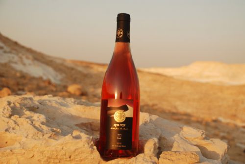 Negev Desert – vins casher de niche d’Israël – Genève, Suisse