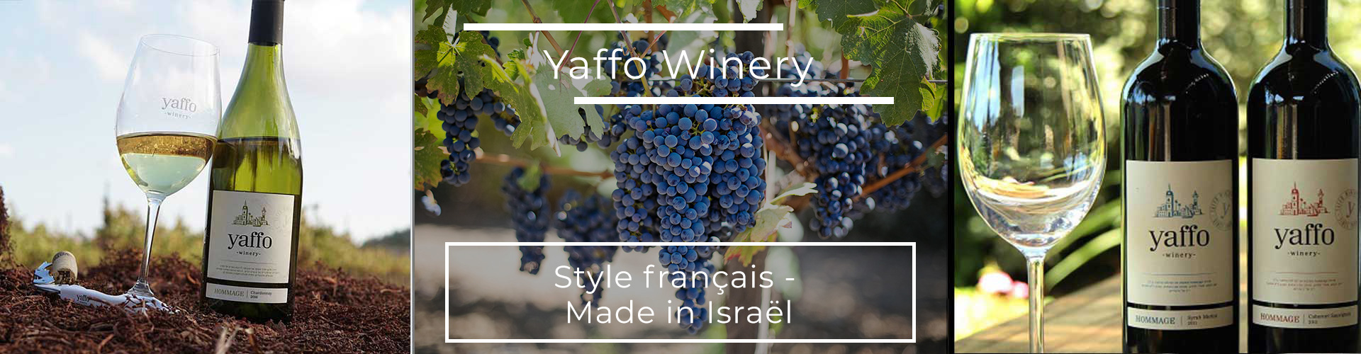 Negev Desert YAFFO WINERY - Vins & Epicerie Fine casher/cacher d'Israël à Genève en Suisse - Negev Desert