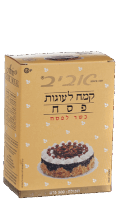NEGEV-DESERT-SWITZERLAND-GENVEA-AVIV-Cake-Matzo-Meal-kosher-for-passover-gateau-semoule-de-matza-Cacher-casher-le-pessah-Mazzen-Matzen-Koscher-fur-Pessach-Produkt-aus-Israel